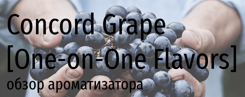 OOO Concord Grape